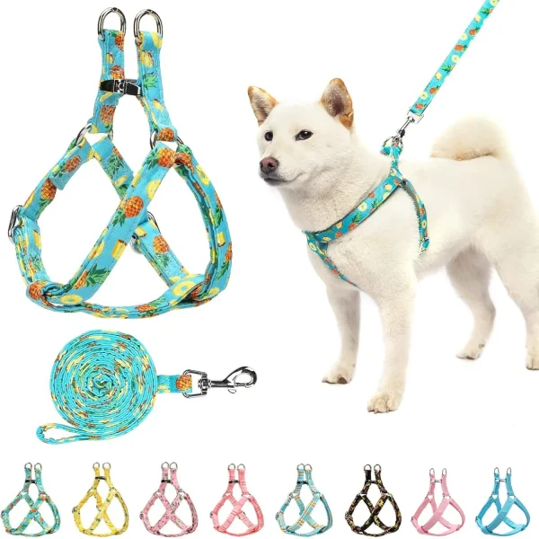 Adjustable Heavy Duty Dog No Pull Vest Harness and Leash