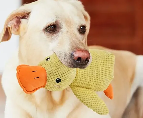 Dog Calming Chew Teeth Cleaning Toy with Soft Squeaker