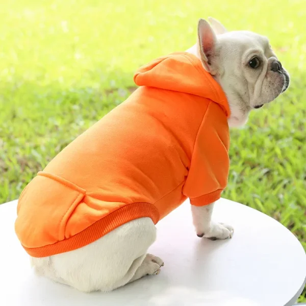 Winter Hooded Polyester Coat for Dogs