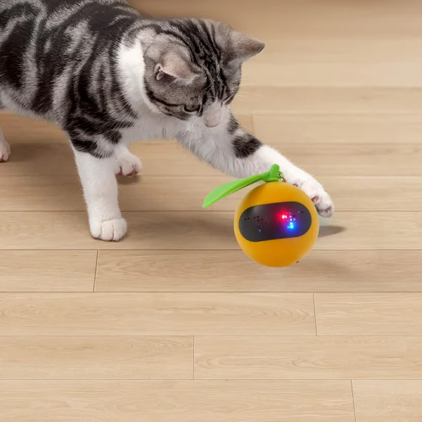 Interactive Cat Toy, LED Light Electric Automatic Rolling Ball